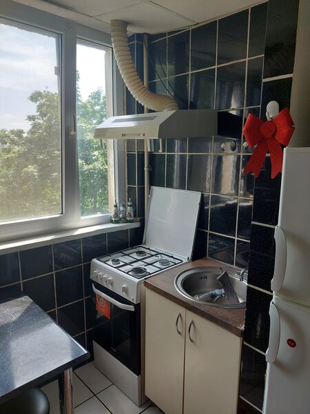 Dristor Park Lake, metrou