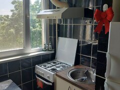 Dristor Park Lake, metrou